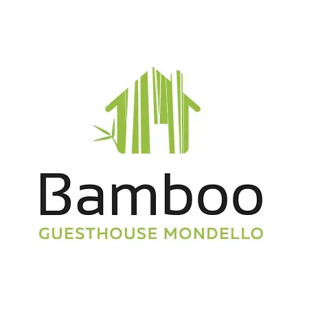 Bamboo *